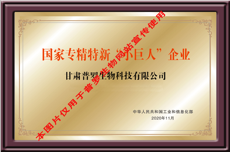 國(guó)家專精特新“小巨人”企業(yè)